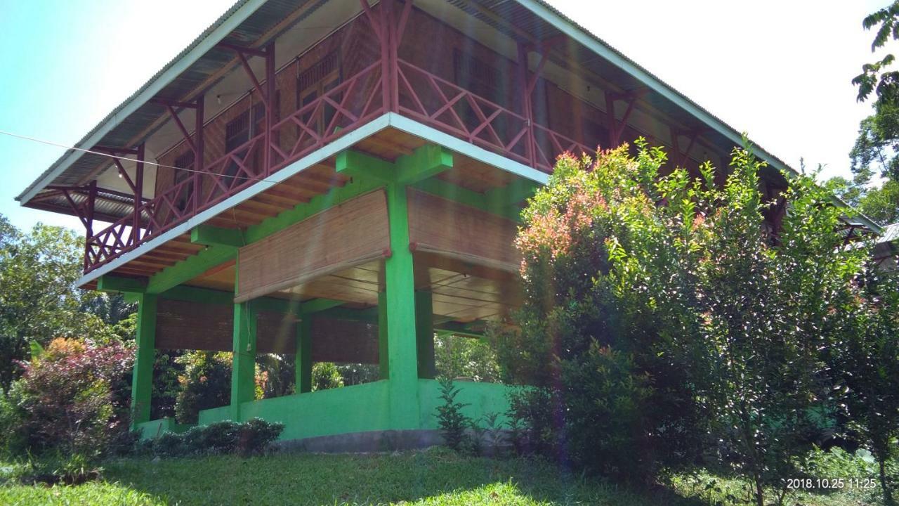 Green Forest Tangkahan Kültér fotó