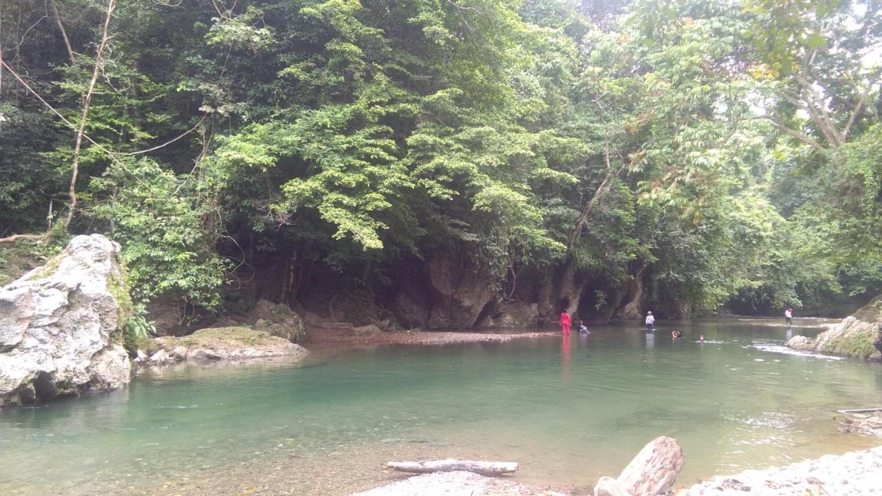 Green Forest Tangkahan Kültér fotó