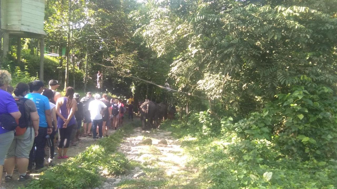 Green Forest Tangkahan Kültér fotó